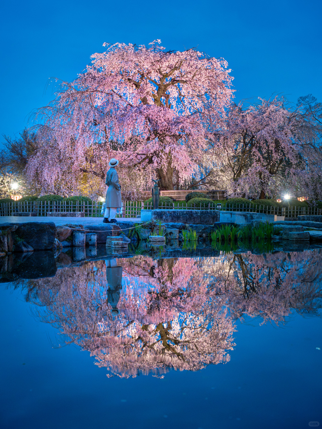 Tokyo-Travel to Japan, stay at Prince Hotel, visit Tokyo Shiba Park and Kyoto Maruyama Park