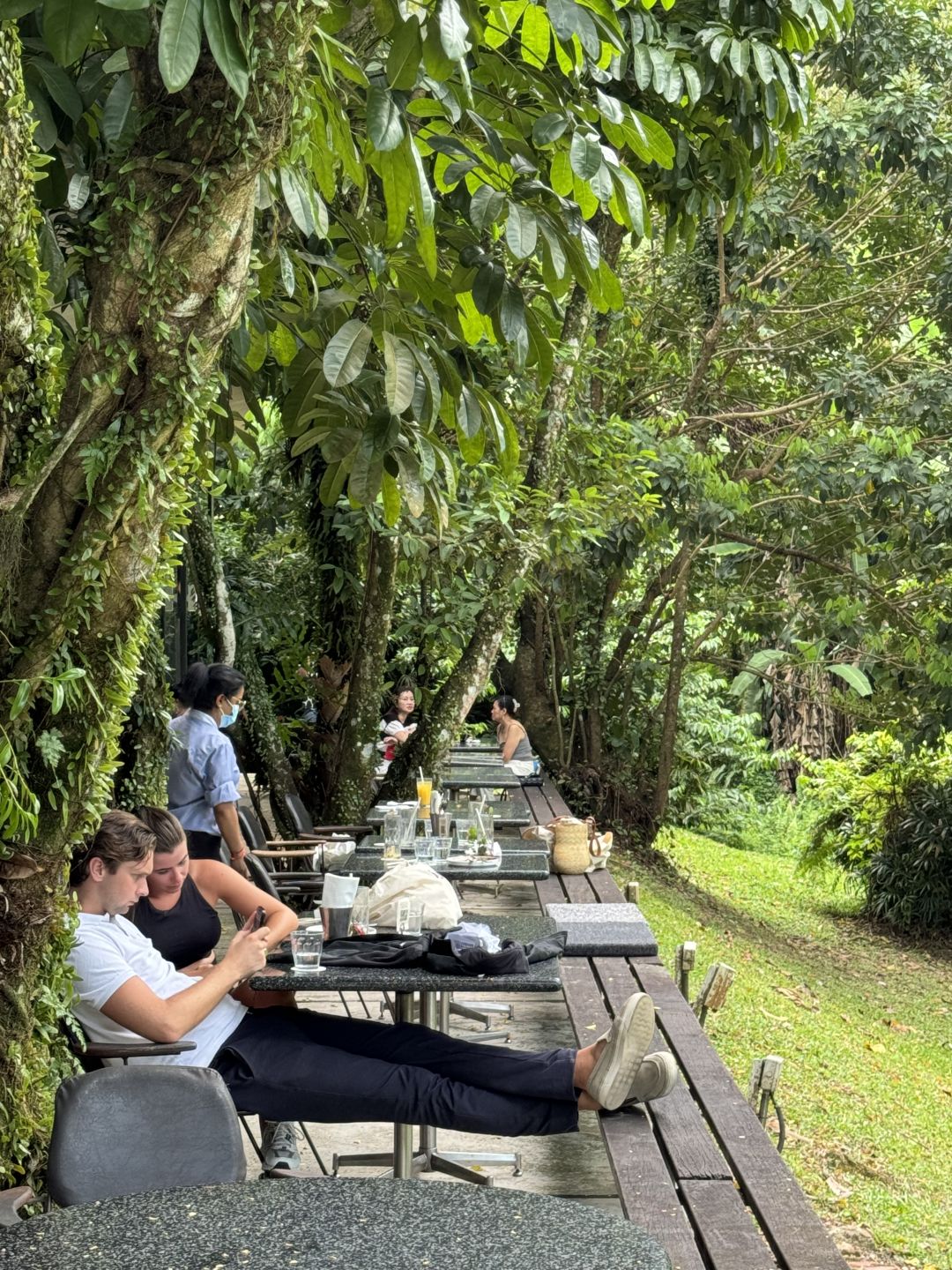 Singapore-Traveling in Singapore, staying near Harding Road, surrounded by various green plants