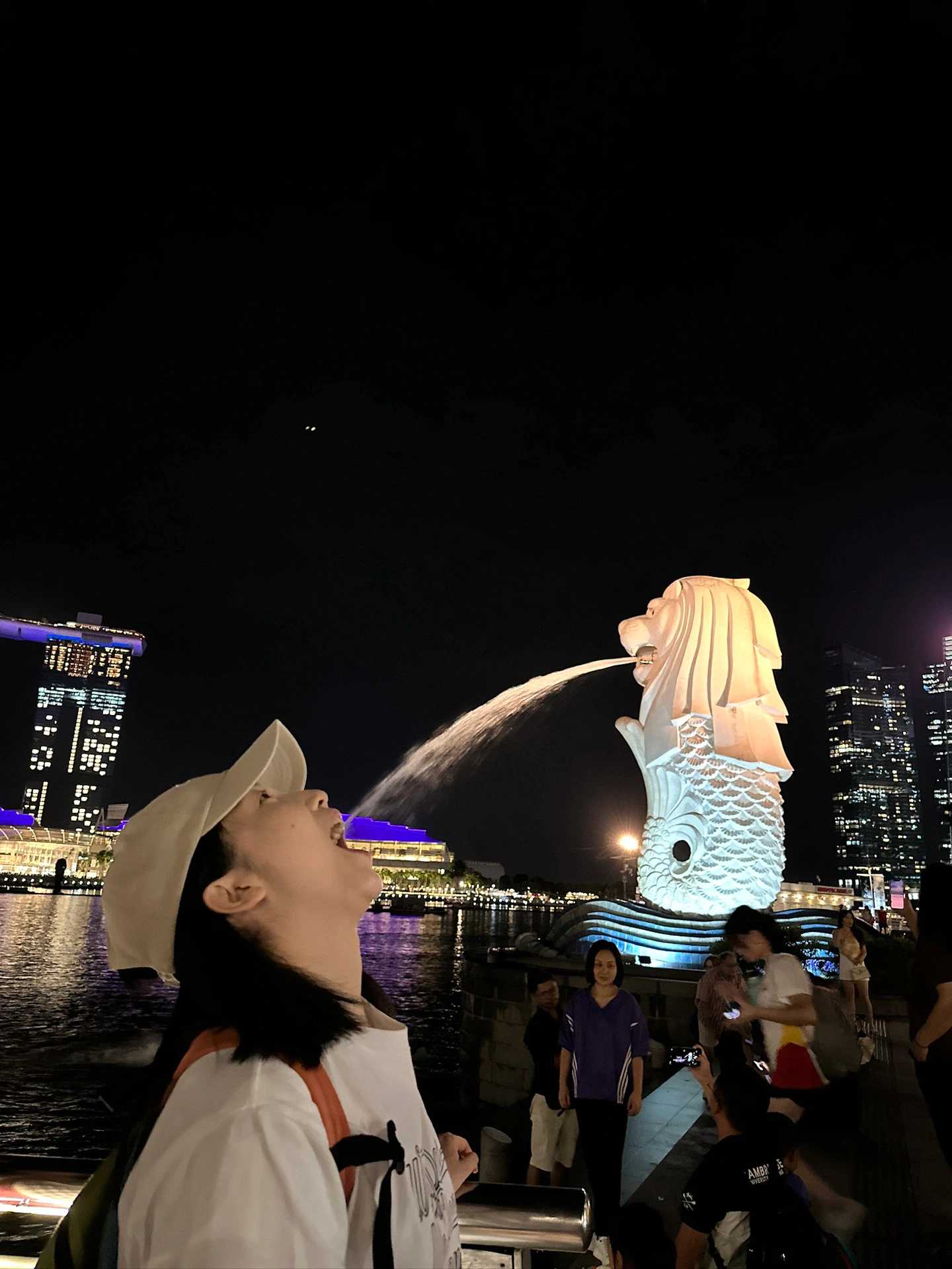 Singapore-After my second trip to Singapore with my kids, here are 20 tips to avoid disappointment