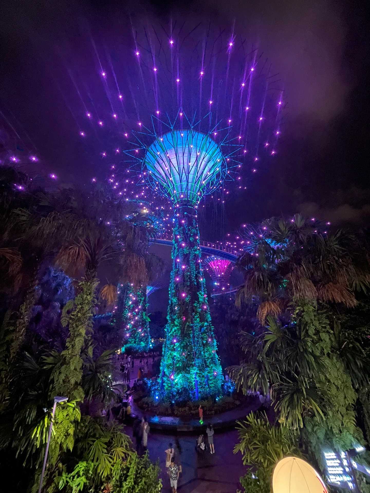 Singapore-After my second trip to Singapore with my kids, here are 20 tips to avoid disappointment