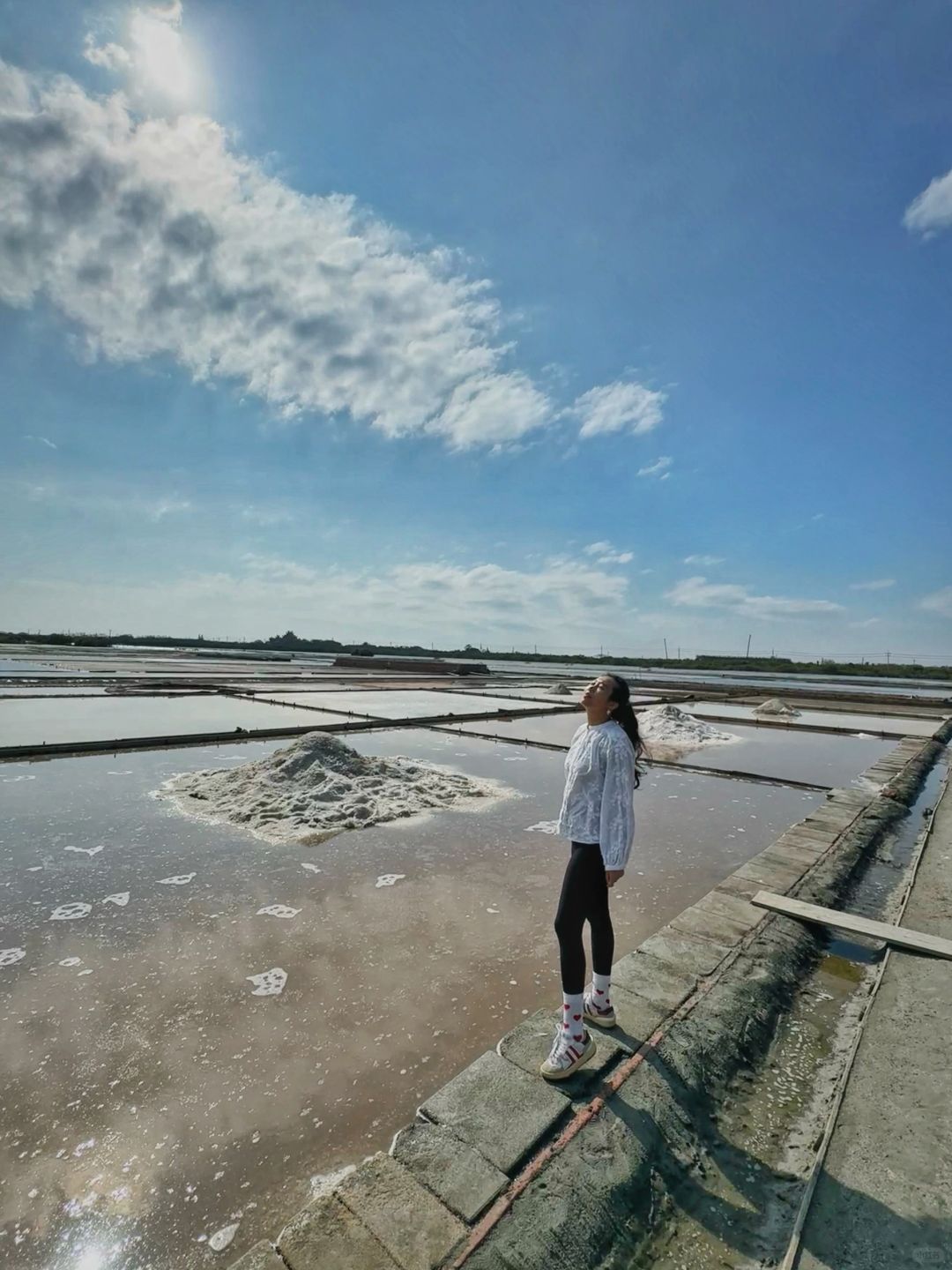 Taiwan-Tainan Travel Tour Anping Tree House, Sicao Green Tunnel and Black-faced Spoonbill