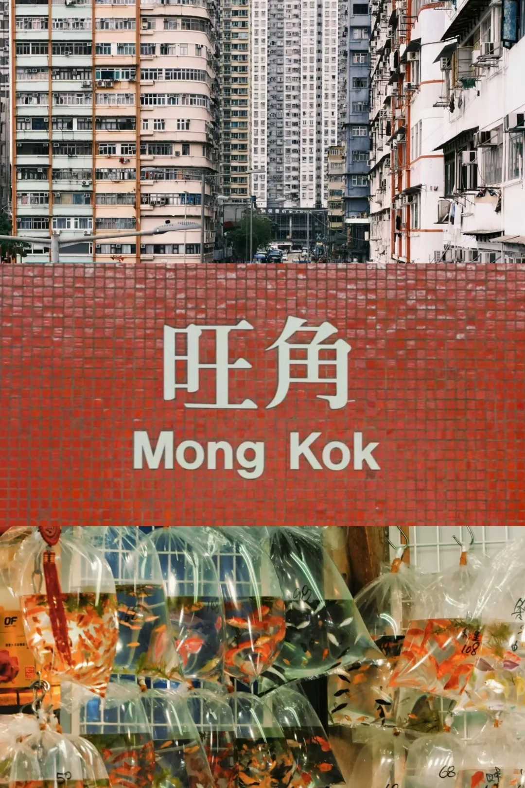 Hong kong-One-day tour routes summarized from multiple trips to Hong Kong in a year