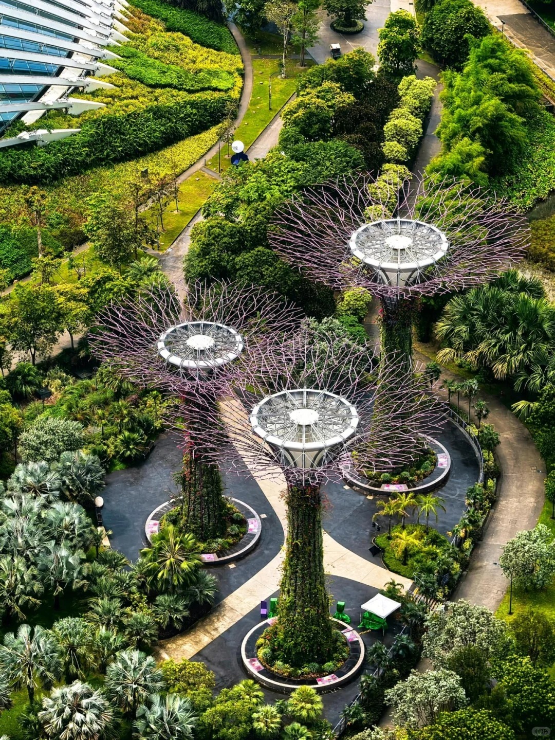 Singapore-Singapore has no winter, the first choice for wealthy immigrants from mainland China