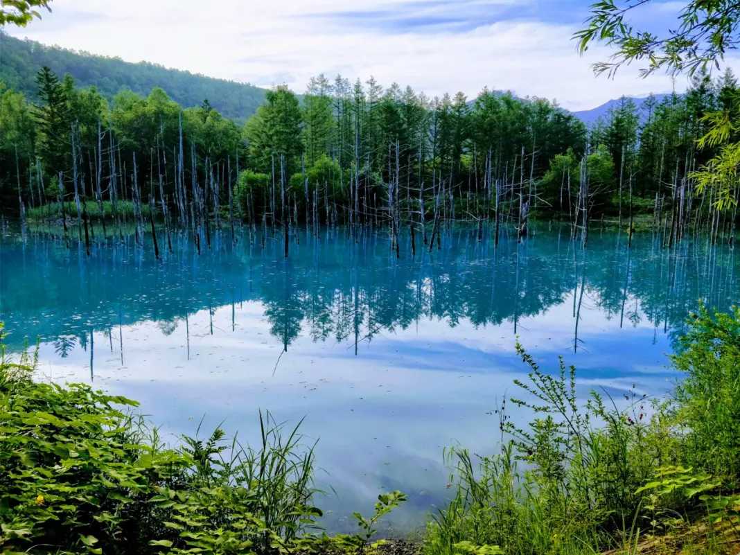 Sapporo/Hokkaido-Seven-day trip to Hokkaido, including international driving license and car rental guide