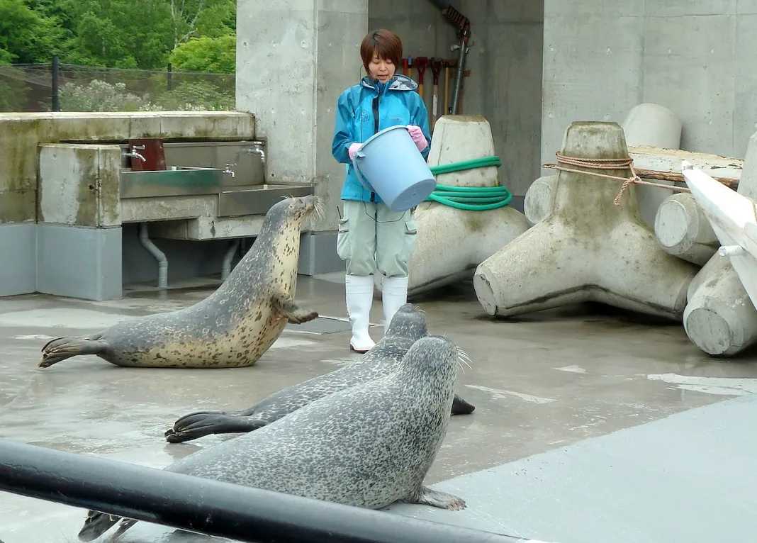 Sapporo/Hokkaido-Seven-day trip to Hokkaido, including international driving license and car rental guide