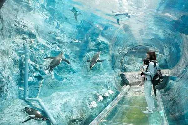 Sapporo/Hokkaido-Seven-day trip to Hokkaido, including international driving license and car rental guide