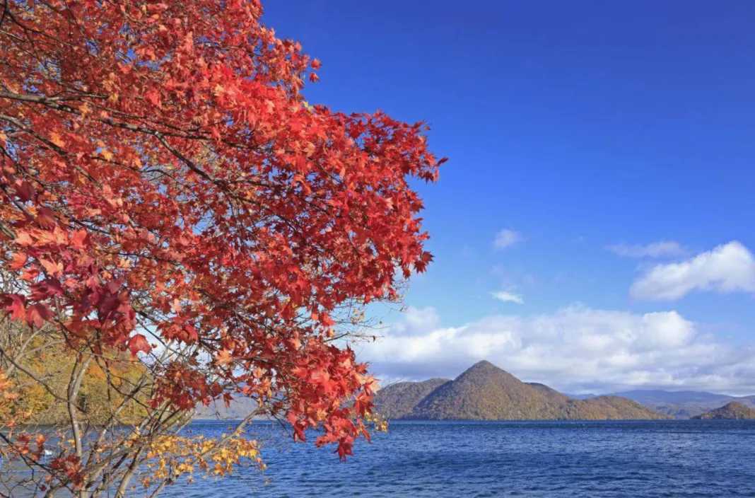 Sapporo/Hokkaido-Seven-day trip to Hokkaido, including international driving license and car rental guide