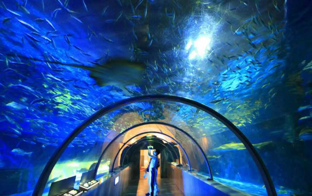 Sapporo/Hokkaido-Seven-day trip to Hokkaido, including international driving license and car rental guide