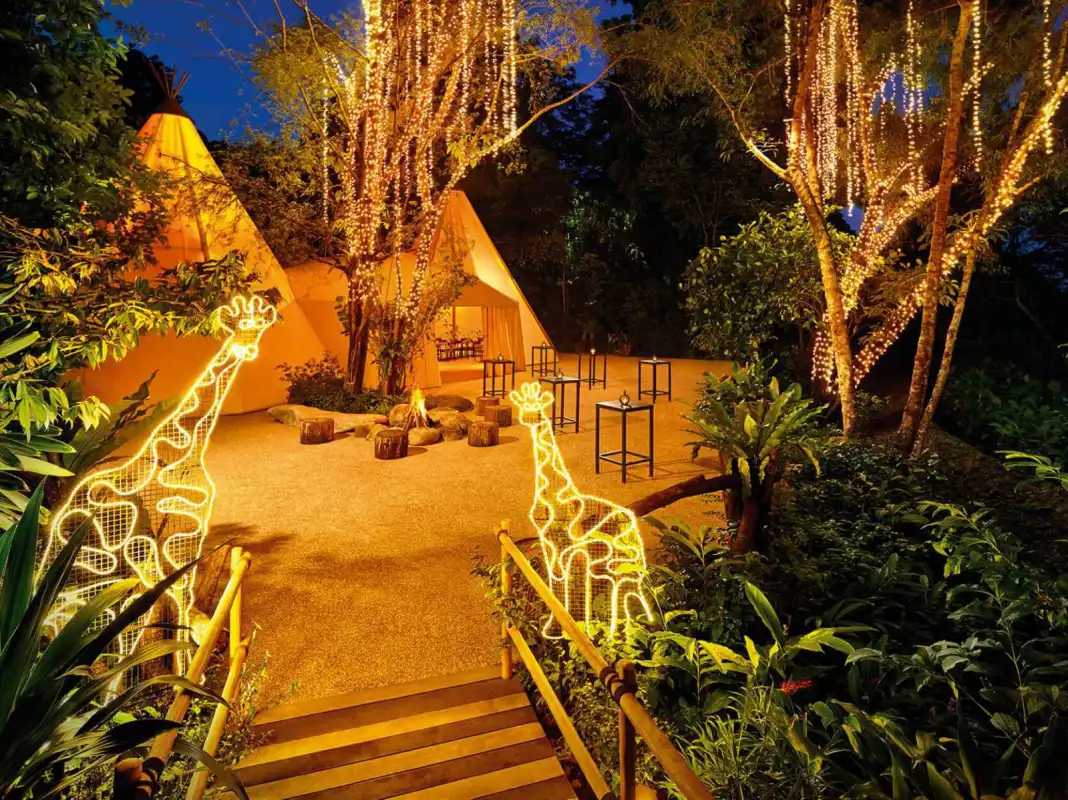 Singapore-2024 Singapore Zoo Day and Night Tour | Ticket Prices, Transportation, Attractions, Official Website, Breakfast