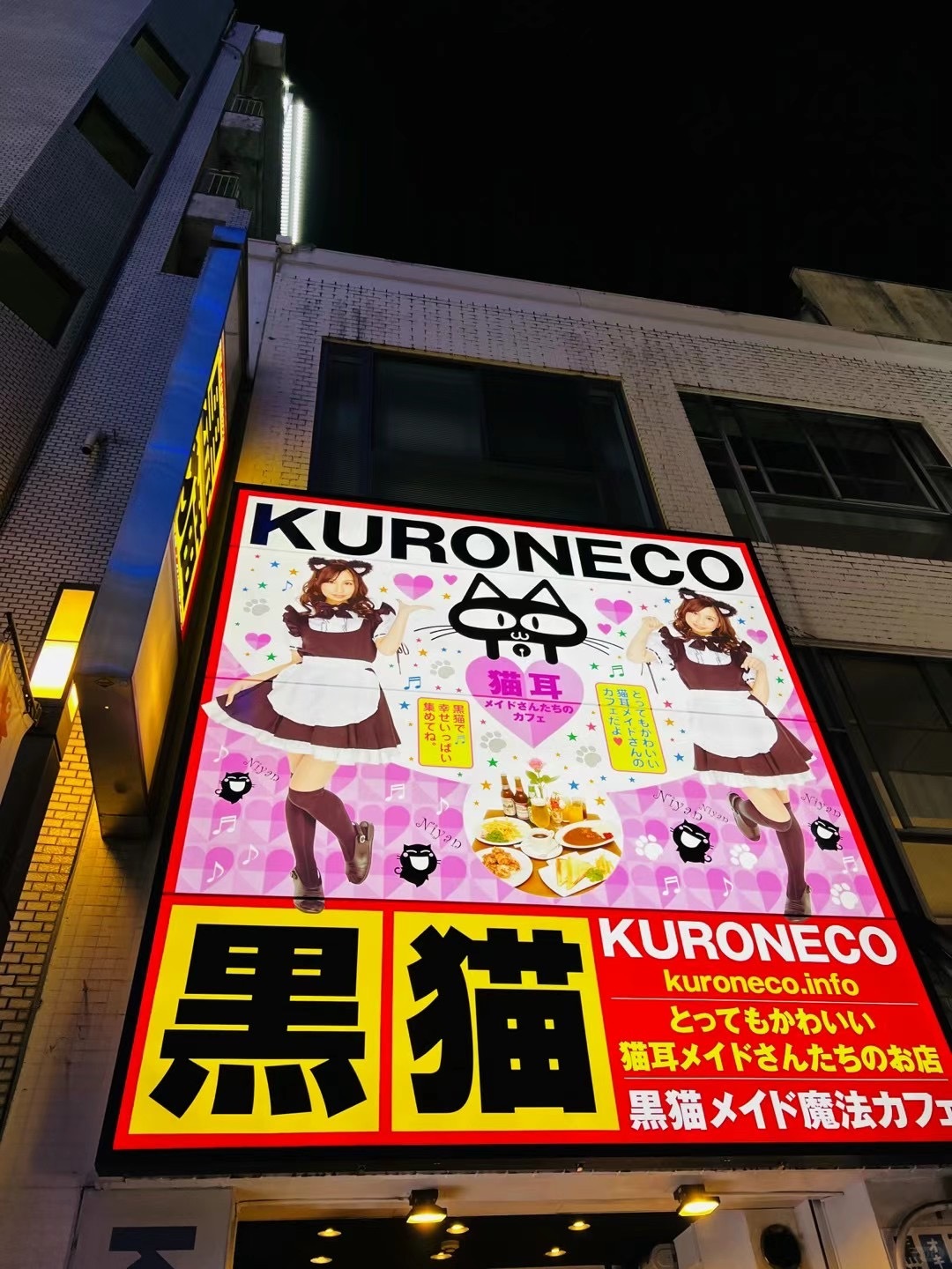Osaka-Osaka Shinsaibashi Dotonbori, ?Japan's most famous shopping and dining destination