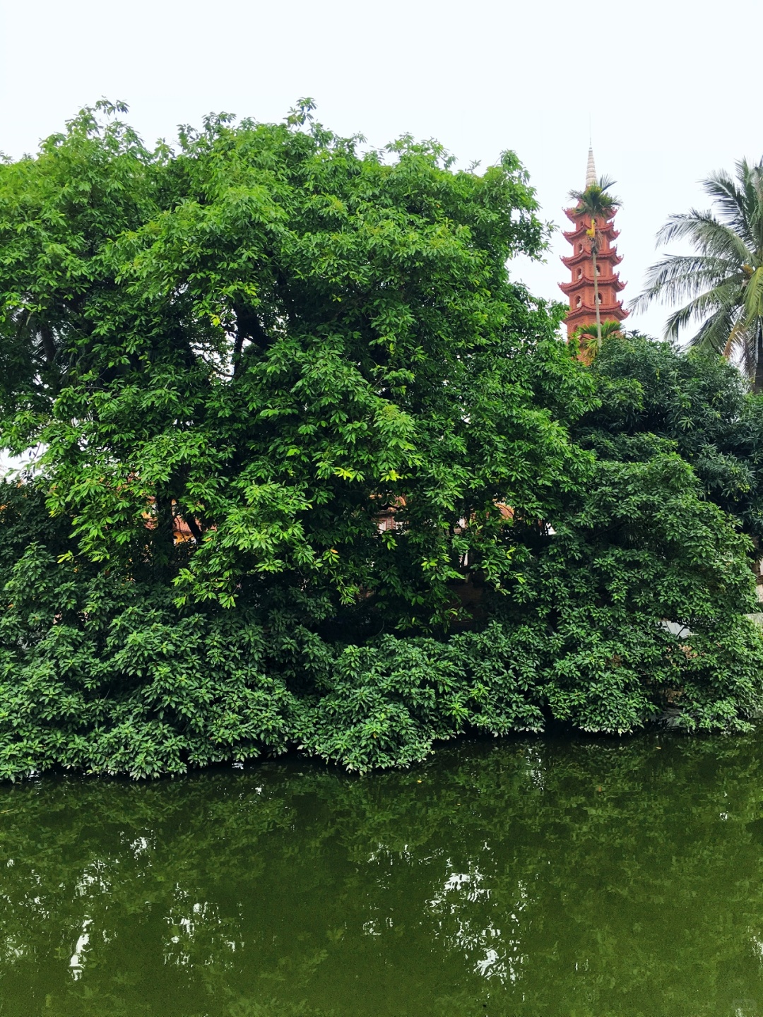 Hanoi-Tran Quoc Pagoda in Hanoi, Vietnam. Chinese characters are everywhere, as if we are in China?