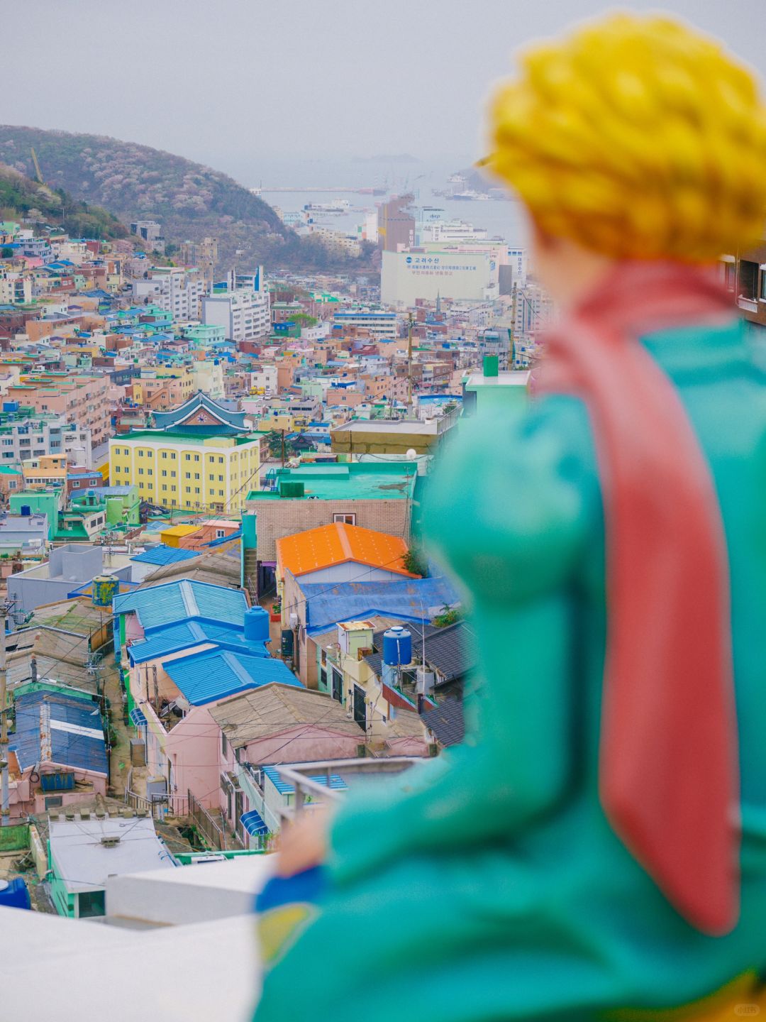 Busan/Jeju-When traveling to South Korea, spend 2 days in Busan. I guarantee you won’t regret it