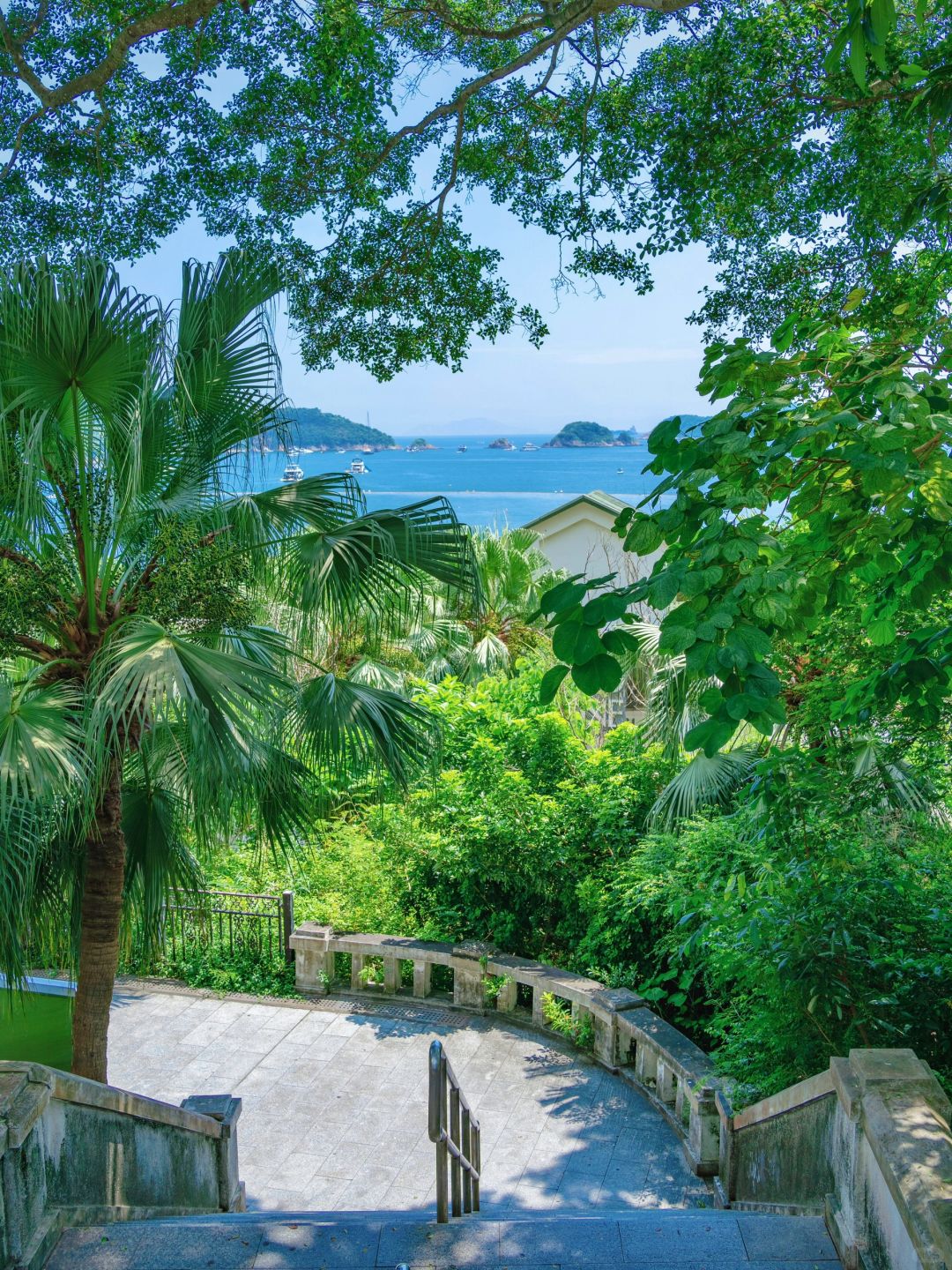 Hong kong-This niche sea-viewing route in Hong Kong shuttles between the bustling city and the sea