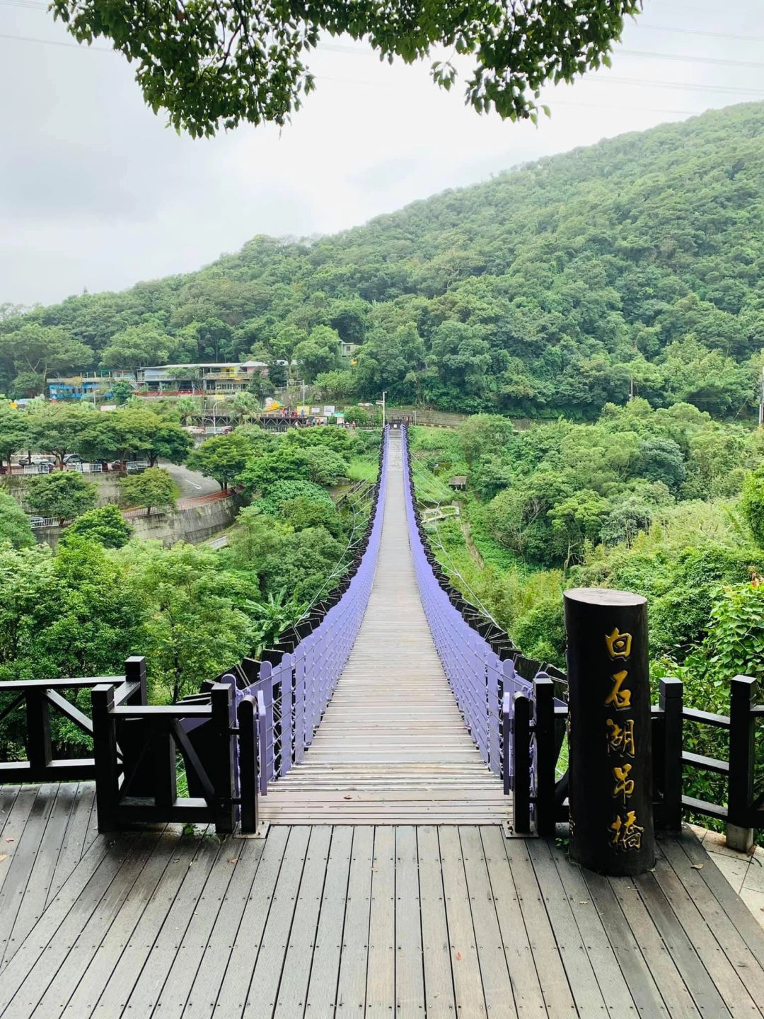 Taiwan-The Baishihu Suspension Bridge in Neihu, Taipei, looks like a flying dragon crossing the valley