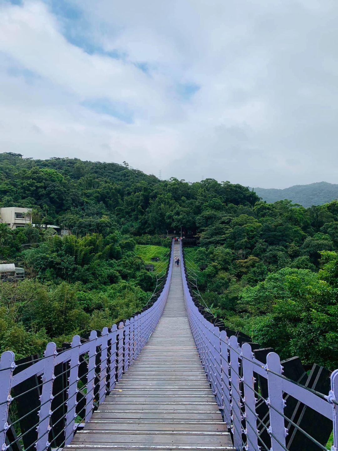 Taiwan-The Baishihu Suspension Bridge in Neihu, Taipei, looks like a flying dragon crossing the valley