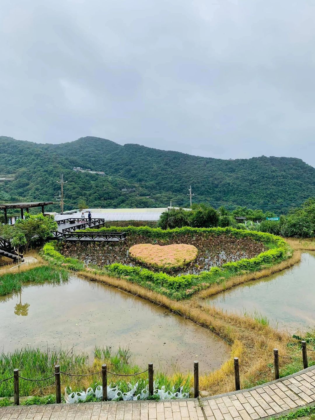 Taiwan-The Baishihu Suspension Bridge in Neihu, Taipei, looks like a flying dragon crossing the valley