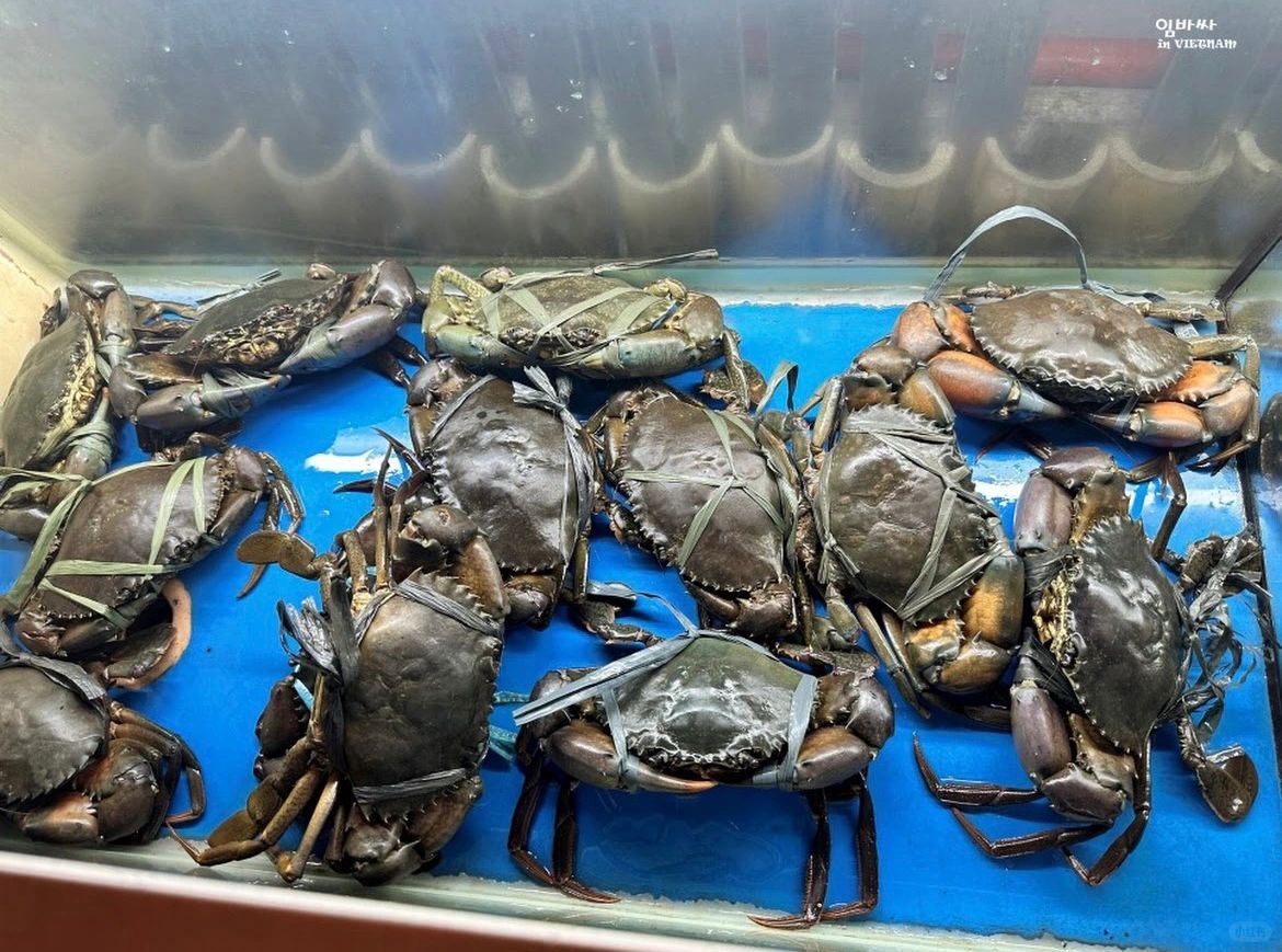 Cebu-Cebu gourmet Red Crab Restaurant,⭐ recommended garlic spicy crab and butter prawns