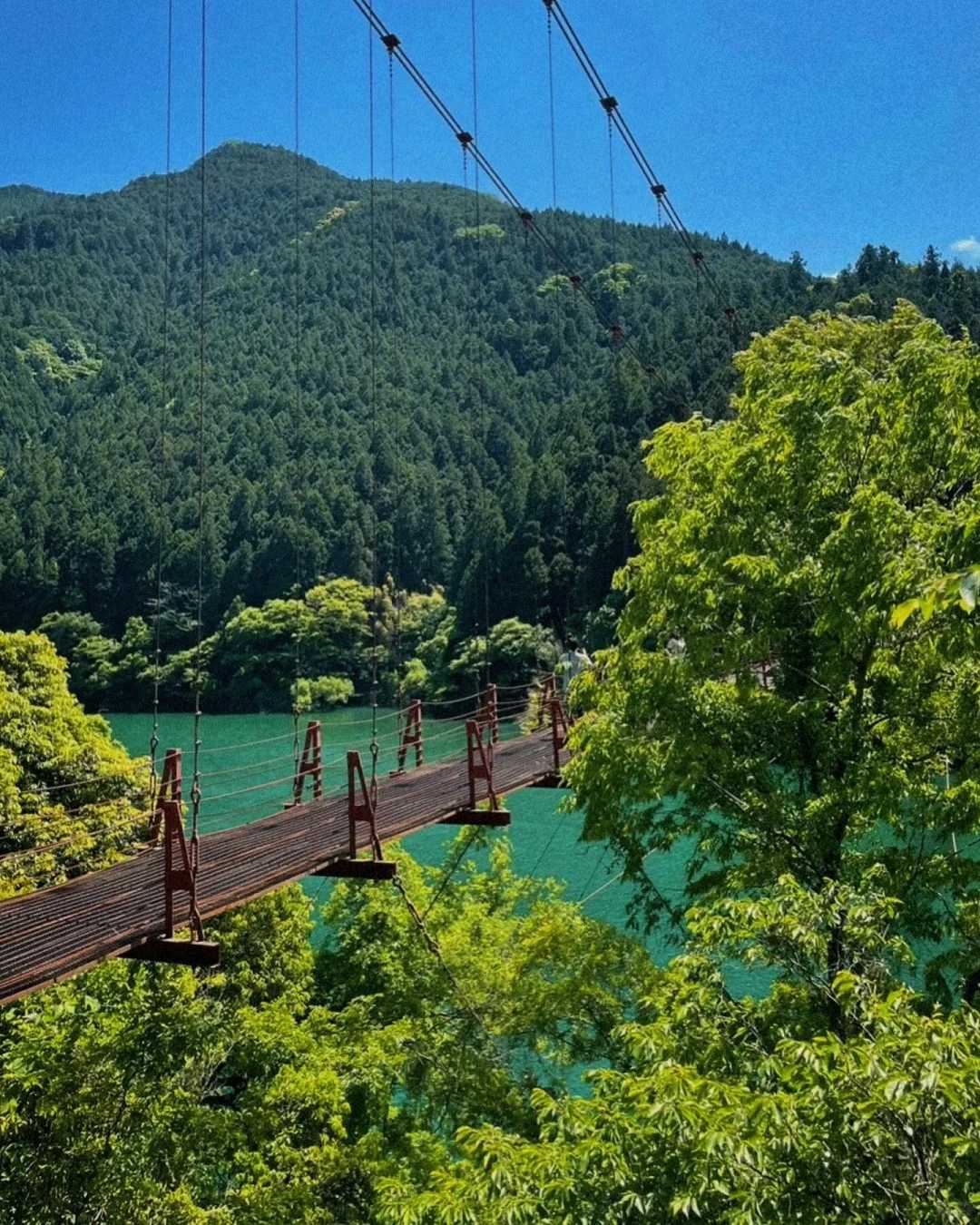 Osaka-Wakayama, peaceful haven, ride the Kodama Railway to see waterfalls, forests and shrines
