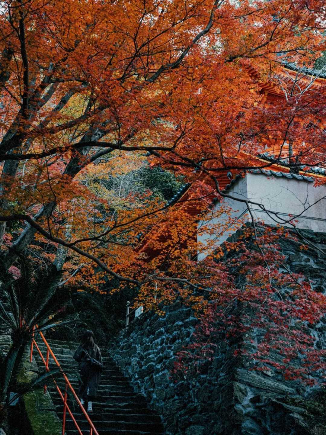 Osaka-Wakayama, peaceful haven, ride the Kodama Railway to see waterfalls, forests and shrines
