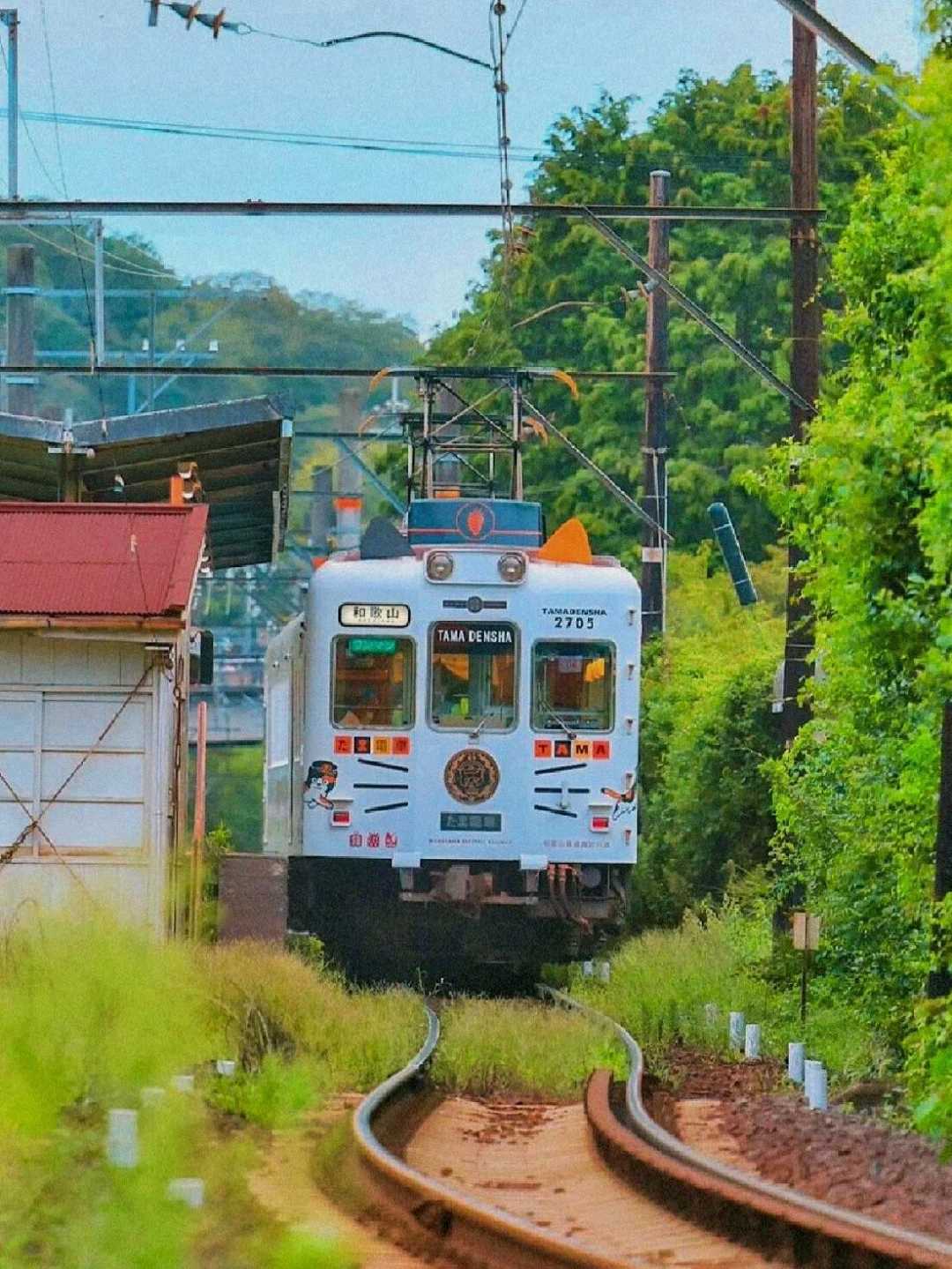 Osaka-Wakayama, peaceful haven, ride the Kodama Railway to see waterfalls, forests and shrines