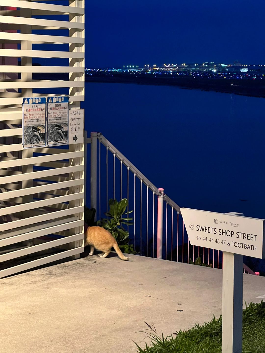 Okinawa-Enjoy the night view of Senaga Island in Okinawa, Japan, the densest blue in the night sky