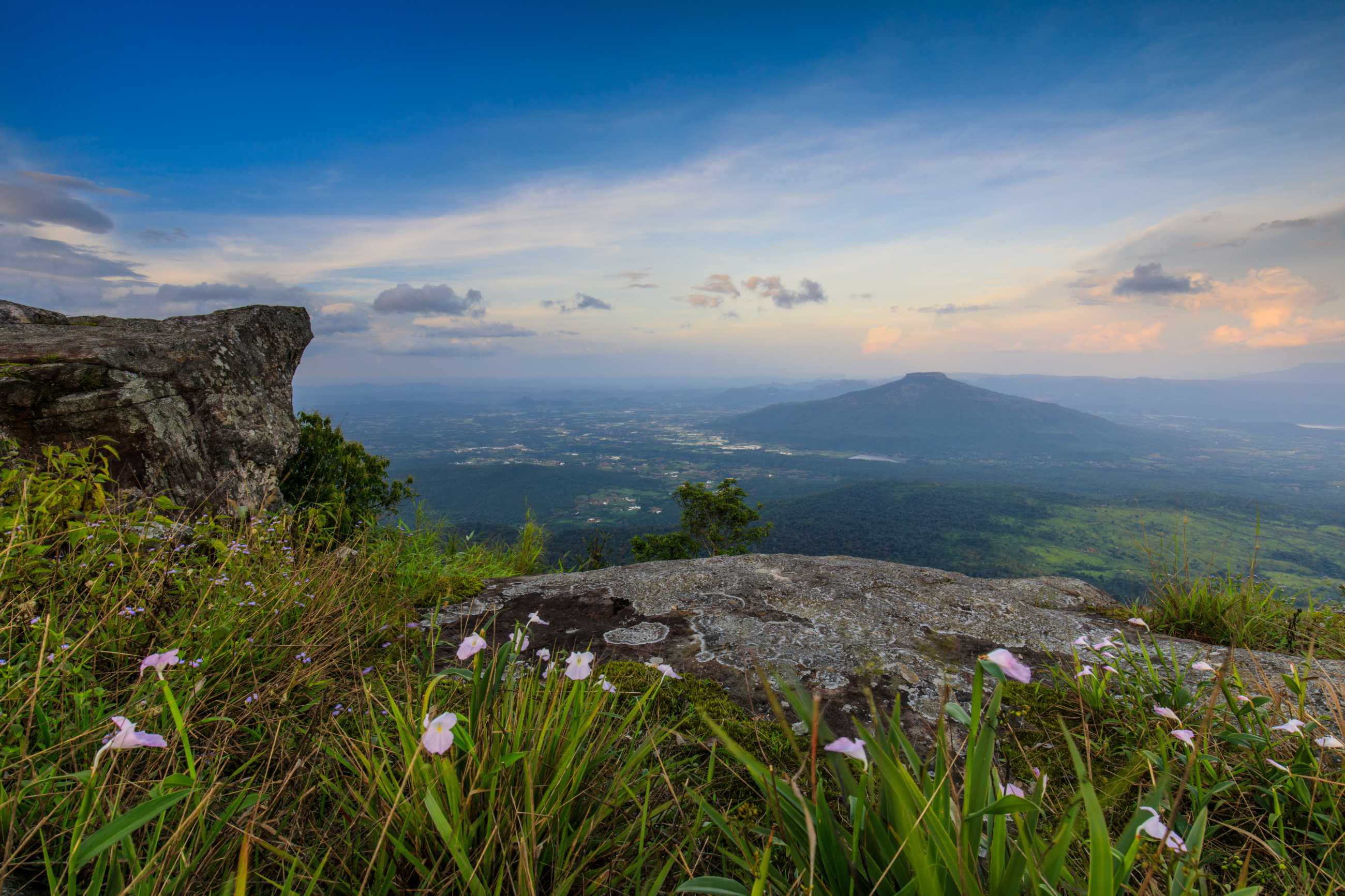 Bangkok-Phu Luang, a tourist destination in Loei Province, Thailand, enjoy the sea of ​​fog floating above the mountain