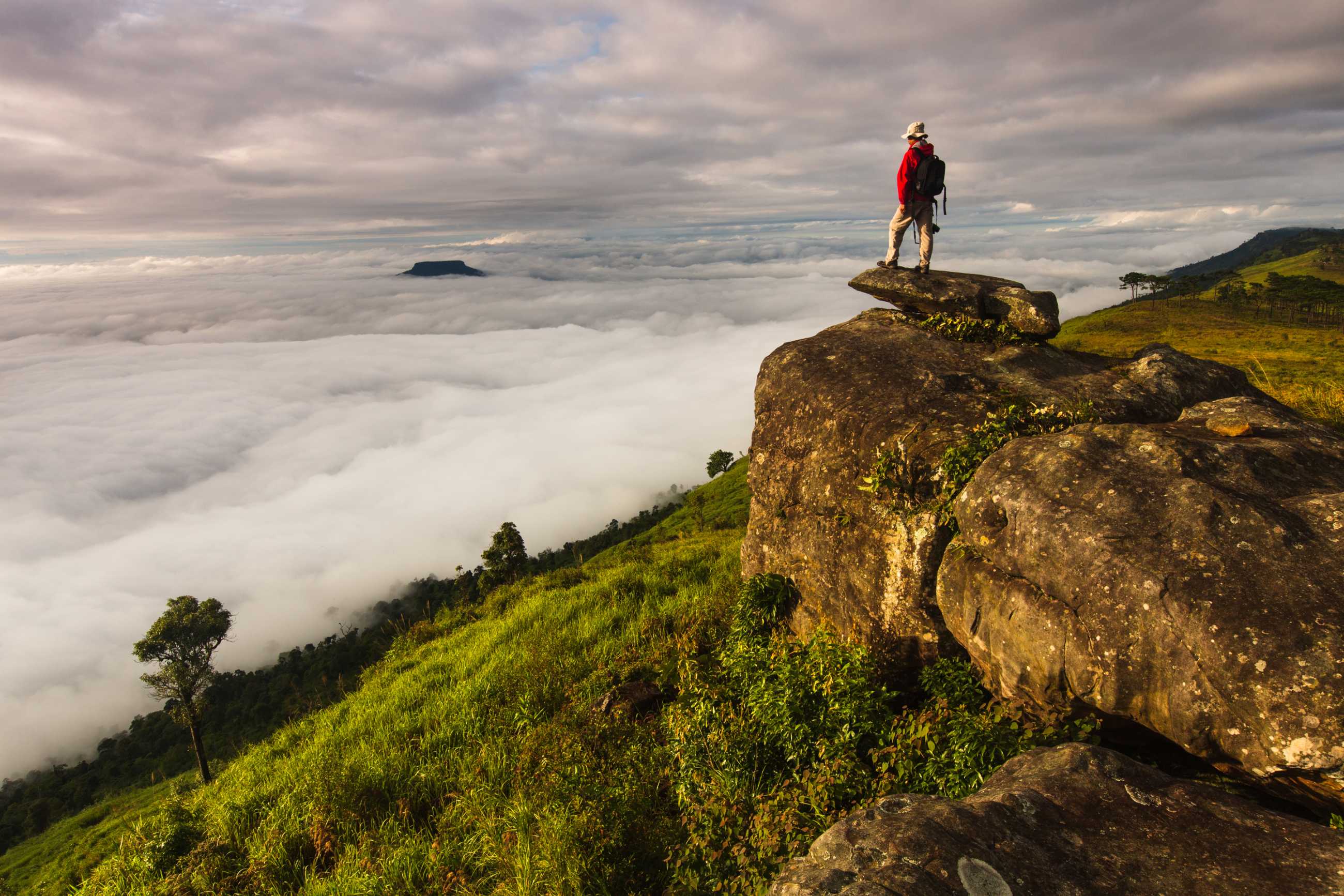 Bangkok-Phu Luang, a tourist destination in Loei Province, Thailand, enjoy the sea of ​​fog floating above the mountain