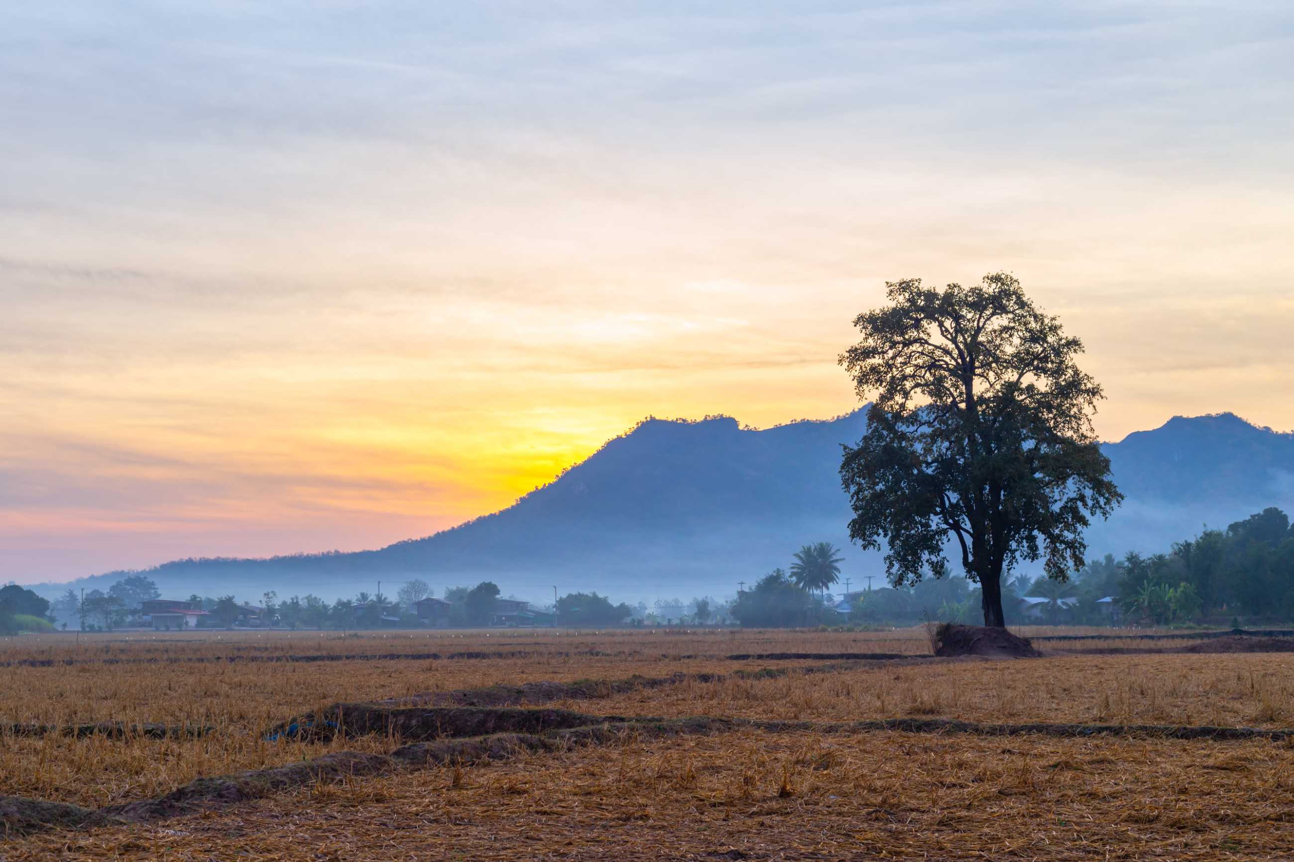 Bangkok-Phu Luang, a tourist destination in Loei Province, Thailand, enjoy the sea of ​​fog floating above the mountain