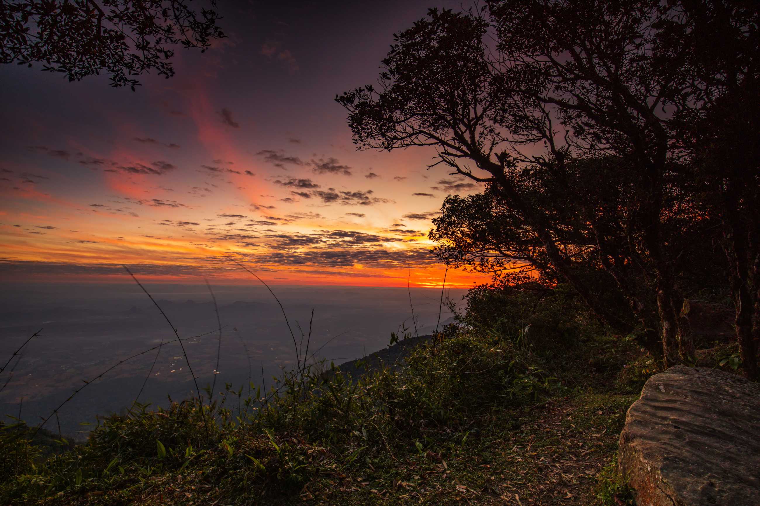 Bangkok-Phu Luang, a tourist destination in Loei Province, Thailand, enjoy the sea of ​​fog floating above the mountain