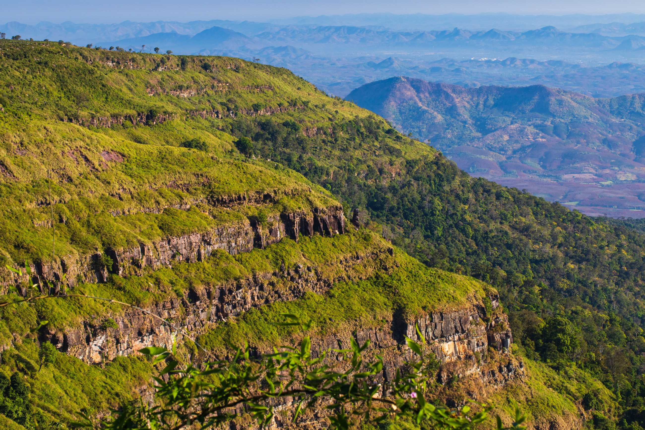 Bangkok-Phu Luang, a tourist destination in Loei Province, Thailand, enjoy the sea of ​​fog floating above the mountain