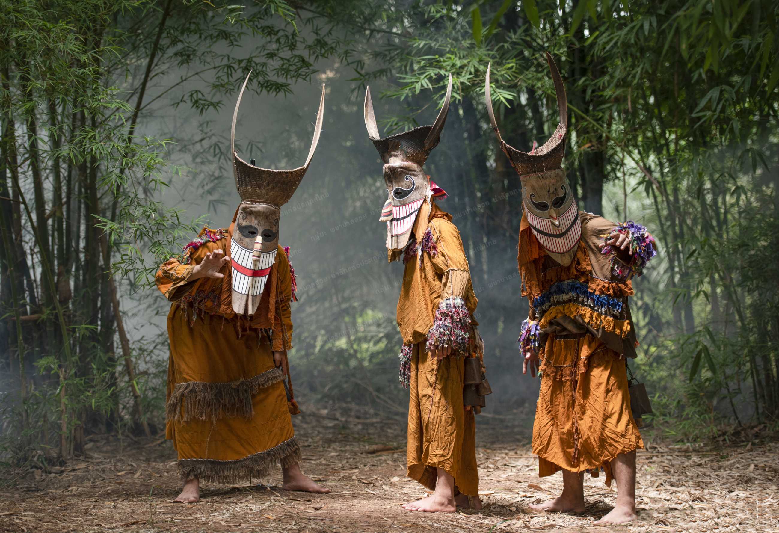 Chiang Mai-Phi Ta Khon Festival is a Buddhist festival celebrated in Dan Sai District, Loei Province from June to July every year