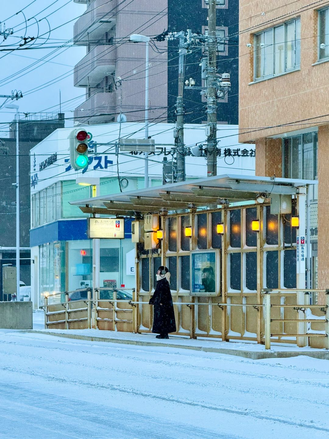 Sapporo/Hokkaido-Romantic Hokkaido, ❄️colorful houses and running trains, blue coast with heavy snow