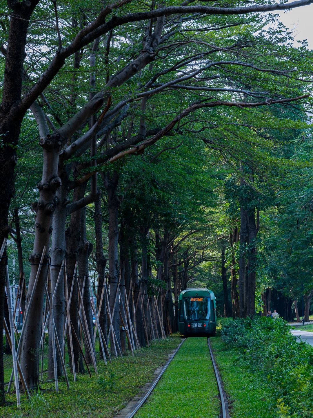 Taiwan-First time visiting Kaohsiung, Taiwan, City Walk check-in spots not to be missed