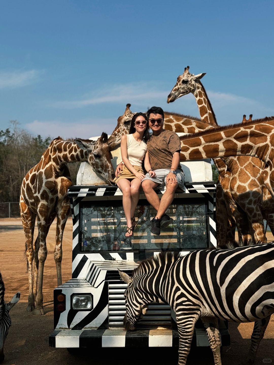 Bangkok-Bangkok Safari Park, ?take photos with zebras and giraffes, a paradise for children