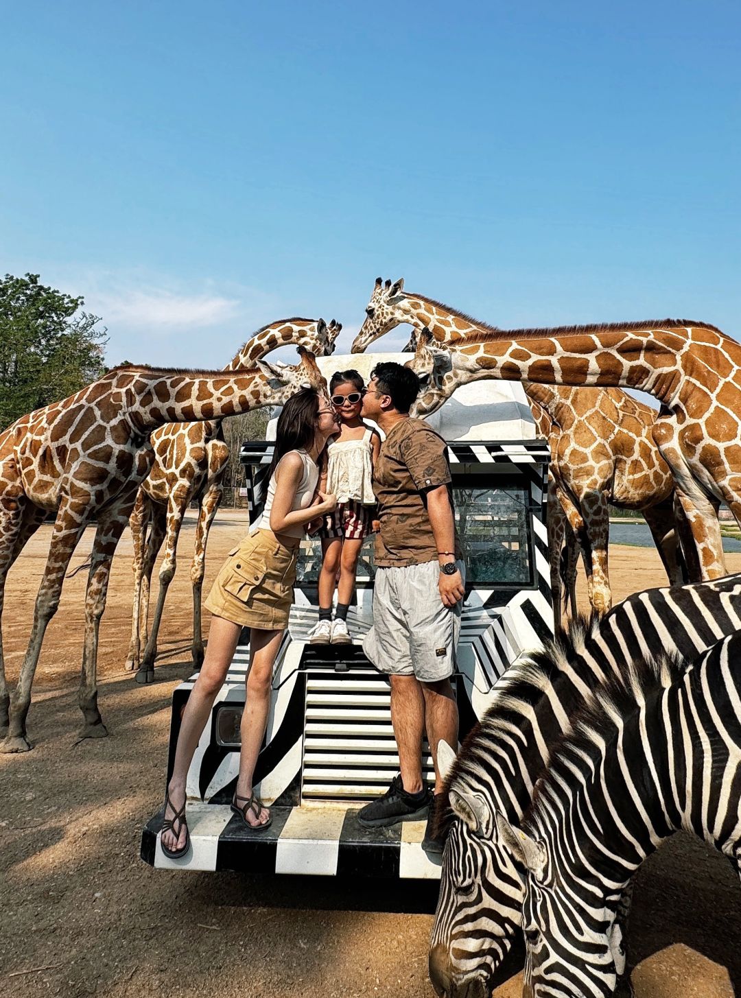 Bangkok-Bangkok Safari Park, ?take photos with zebras and giraffes, a paradise for children
