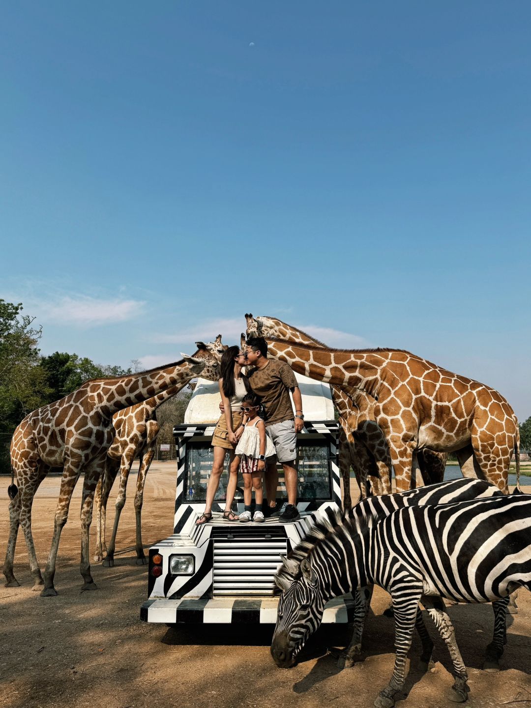 Bangkok-Bangkok Safari Park, ?take photos with zebras and giraffes, a paradise for children