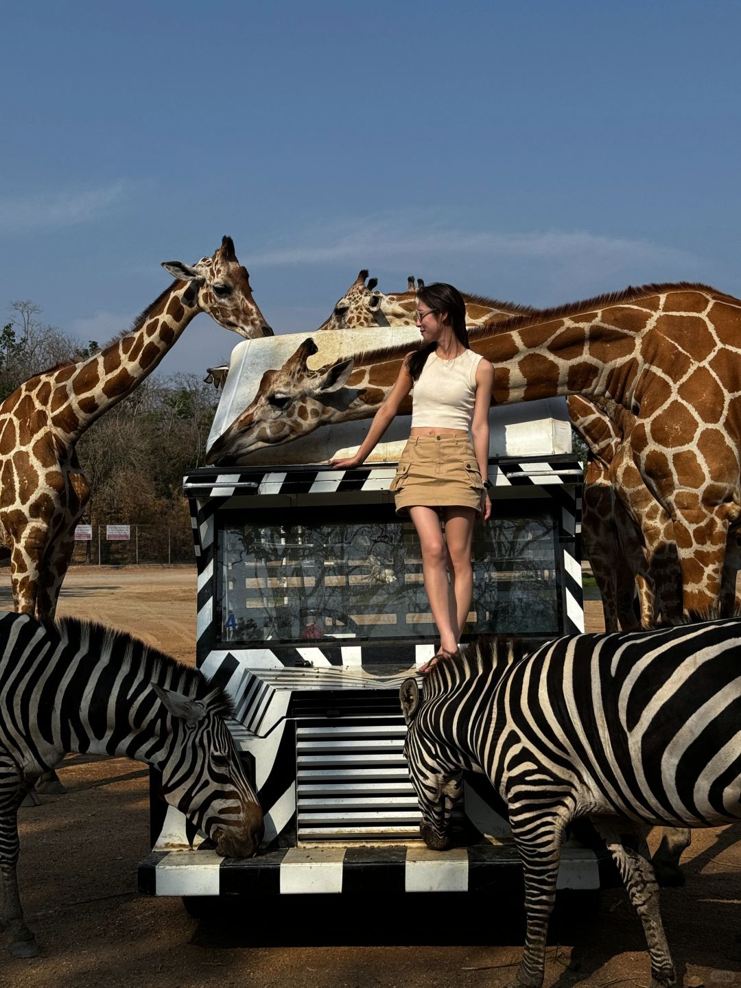 Bangkok-Bangkok Safari Park, ?take photos with zebras and giraffes, a paradise for children