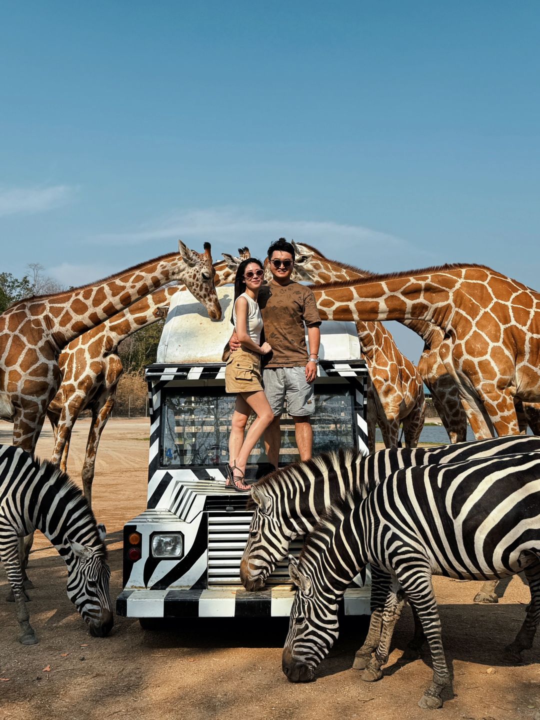 Bangkok-Bangkok Safari Park, ?take photos with zebras and giraffes, a paradise for children