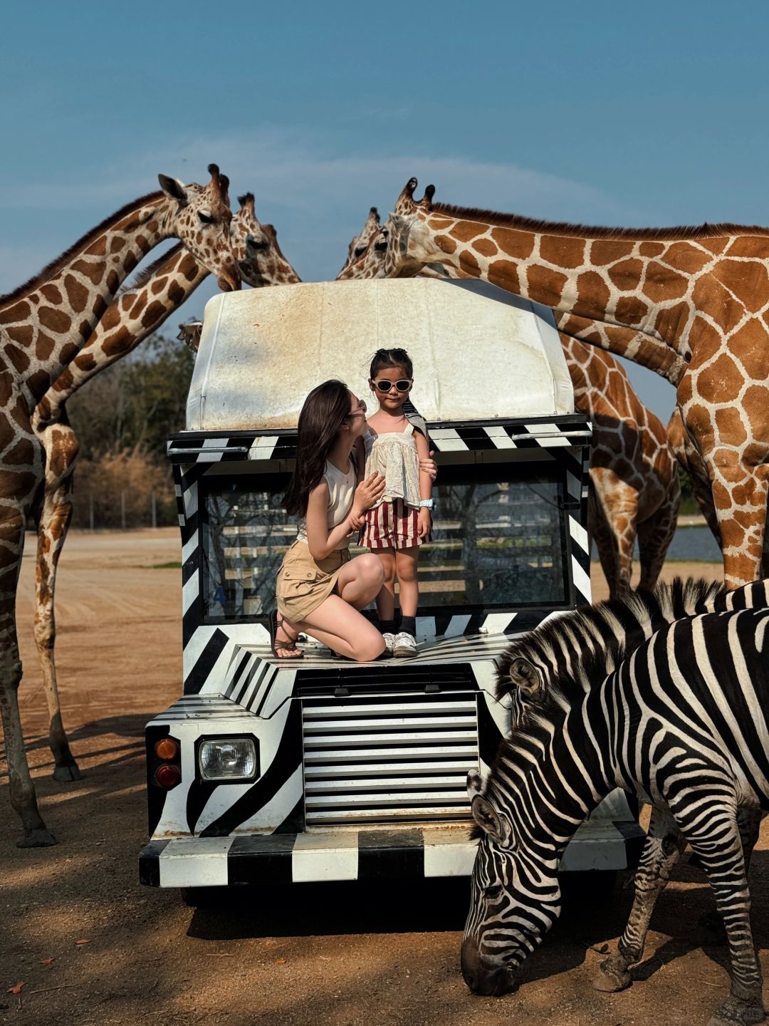 Bangkok-Bangkok Safari Park, ?take photos with zebras and giraffes, a paradise for children
