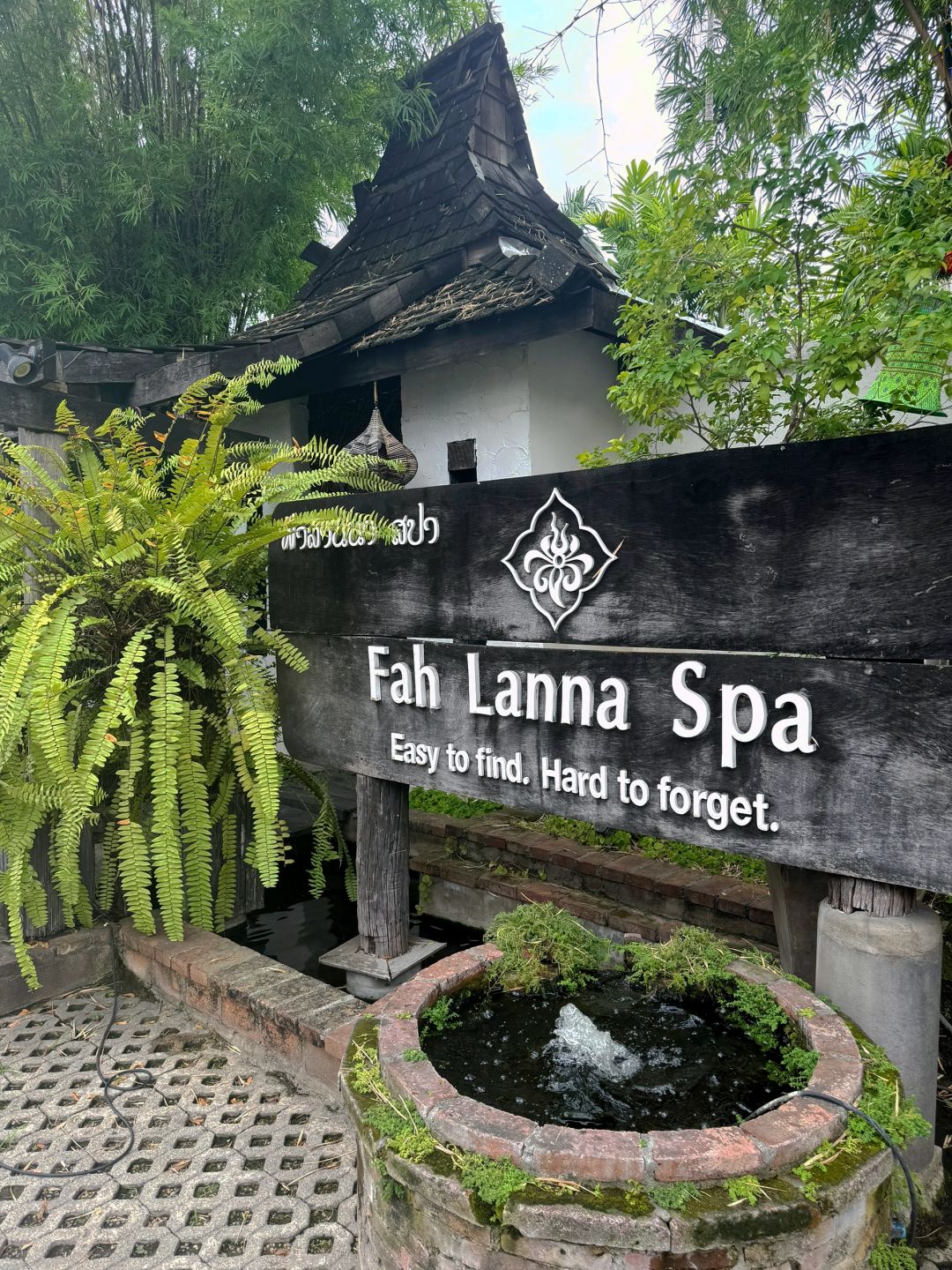 Chiang Mai-Fah Lanna spa massage in Chiang Mai, the coconut trees in the yard are very beautiful