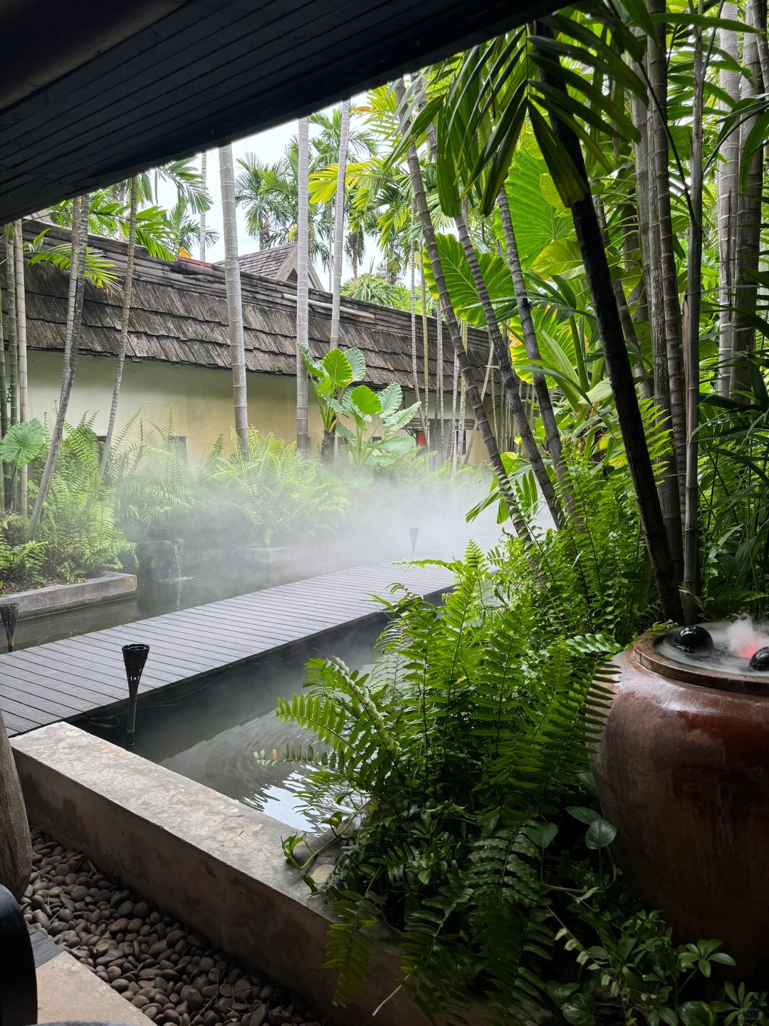 Chiang Mai-Fah Lanna spa massage in Chiang Mai, the coconut trees in the yard are very beautiful