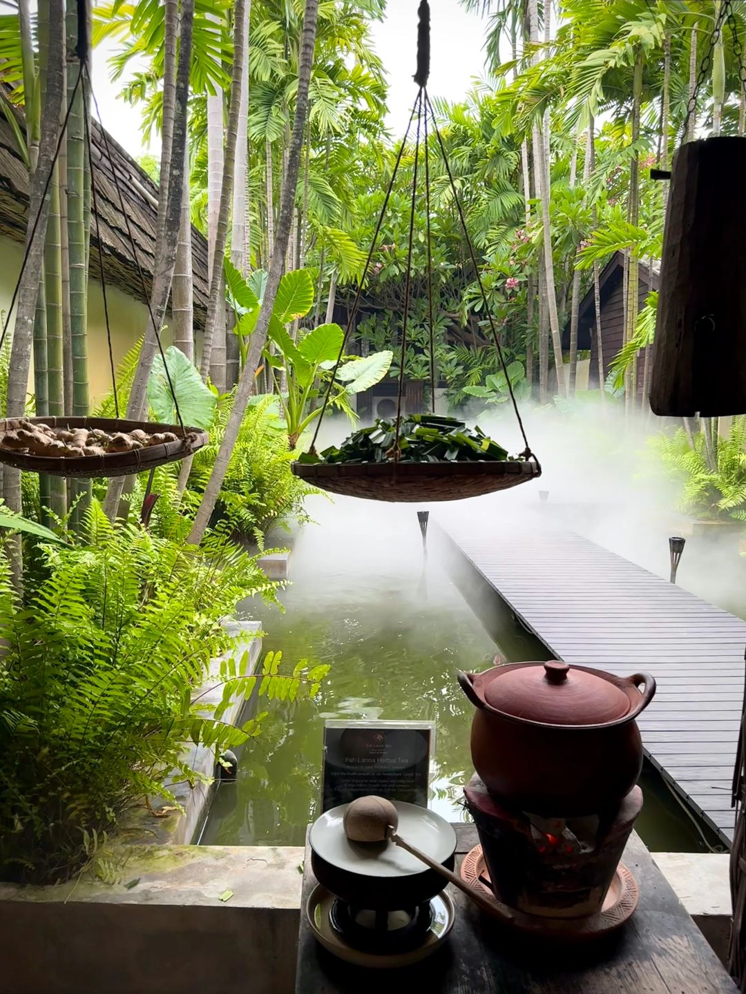 Chiang Mai-Fah Lanna spa massage in Chiang Mai, the coconut trees in the yard are very beautiful