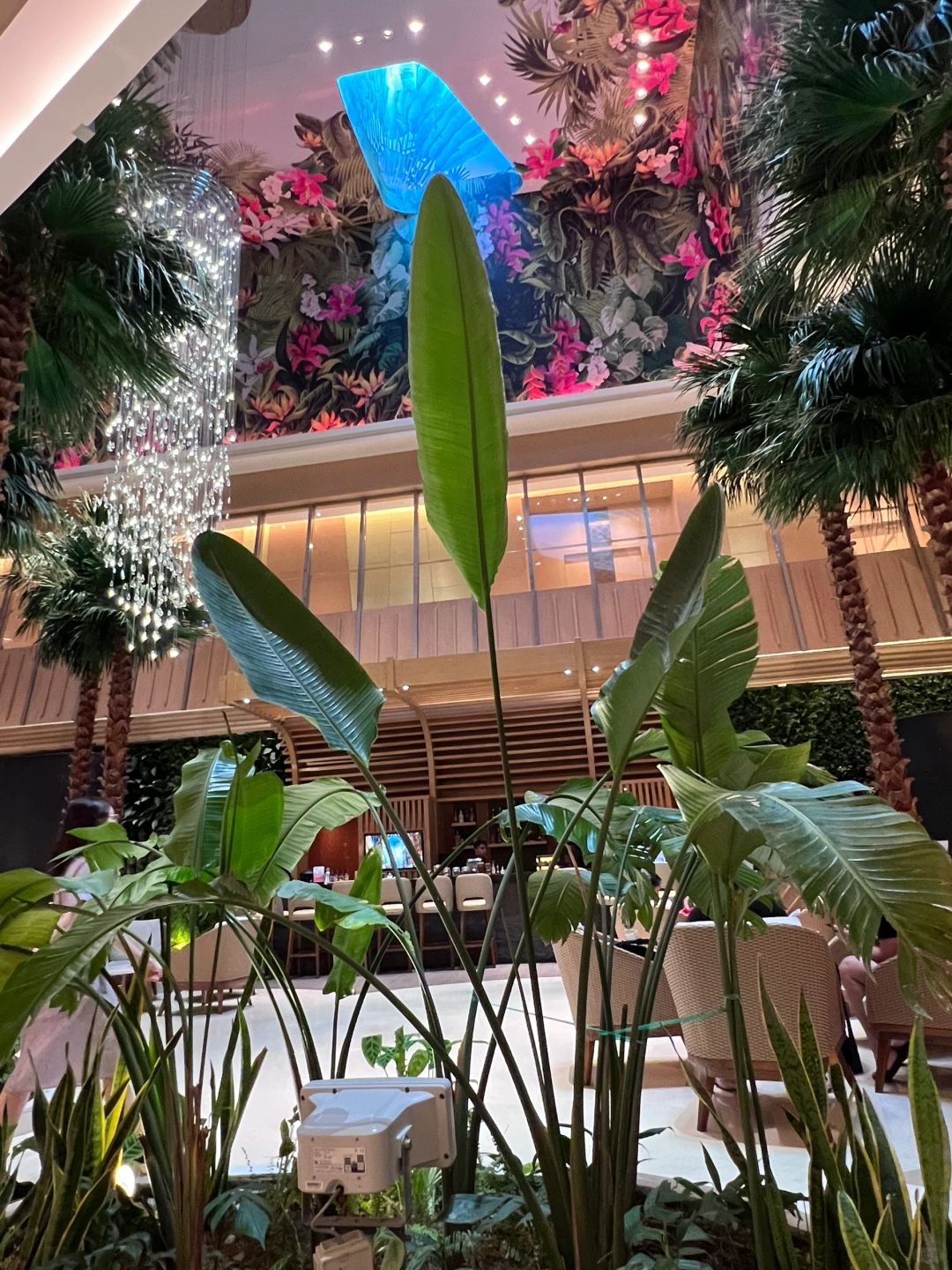 Clark/Angel City-The Atrium at Swissôtel Clark, Philippines, ☕️a Southeast Asian rainforest-style cafe