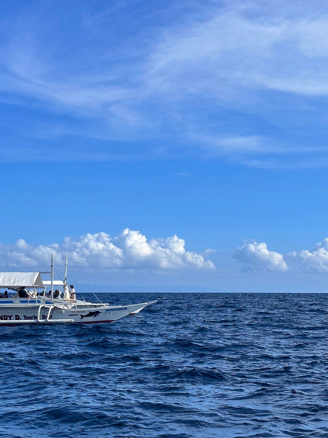 Boracay-Traveling Bohol Island in the Philippines, I saw dolphins and turtles under the blue water
