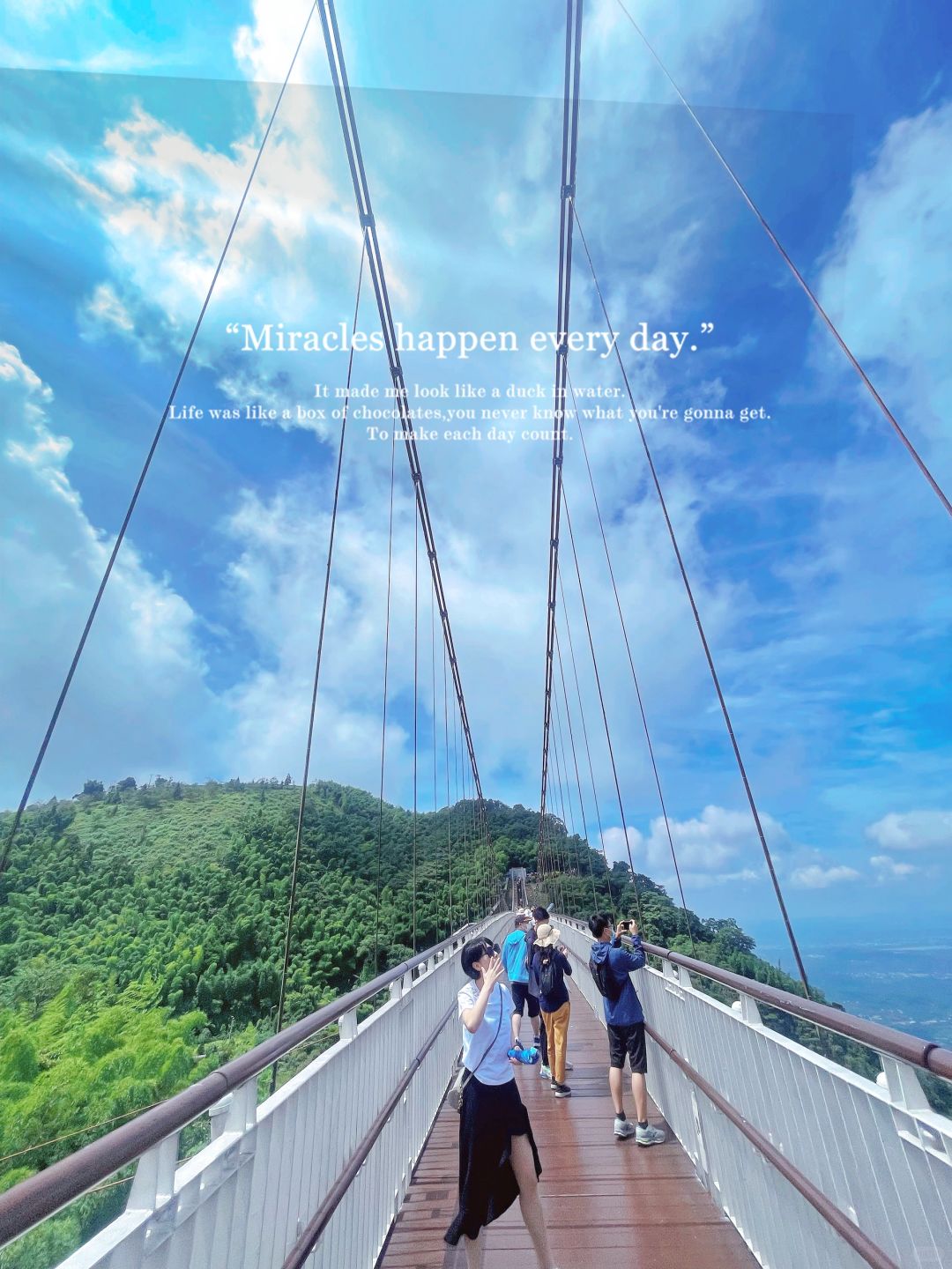 Taiwan-Enjoy the tea garden in Chiayi, Taiwan, and take a skywalk overlooking the Taiwan Strait
