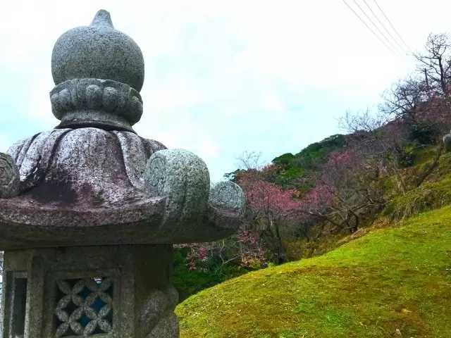 Okinawa-The observatory of Nago Castle Park in northern Okinawa! A hidden spot for enjoyment