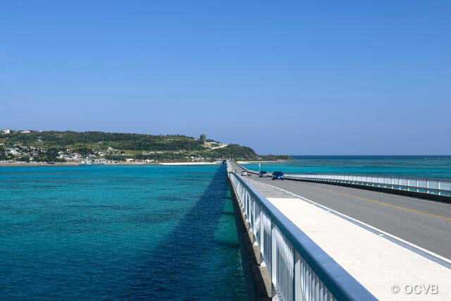 Okinawa-31 things to do in Okinawa, palm trees, beaches and sea, Japan has a unique American style