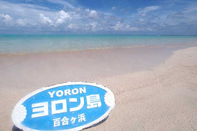 Okinawa-31 things to do in Okinawa, palm trees, beaches and sea, Japan has a unique American style