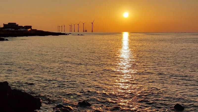Busan/Jeju-Watching the sunset at the cactus community in Wolryeong-ri, Jeju Island, South Korea