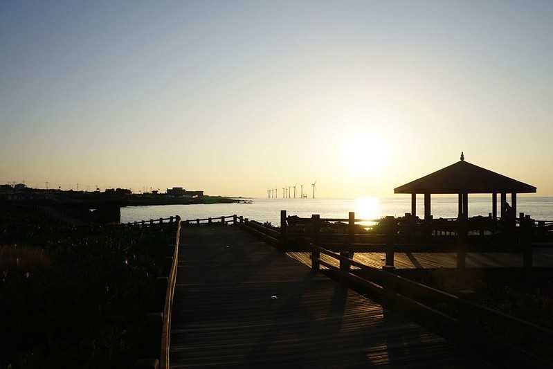 Busan/Jeju-Watching the sunset at the cactus community in Wolryeong-ri, Jeju Island, South Korea